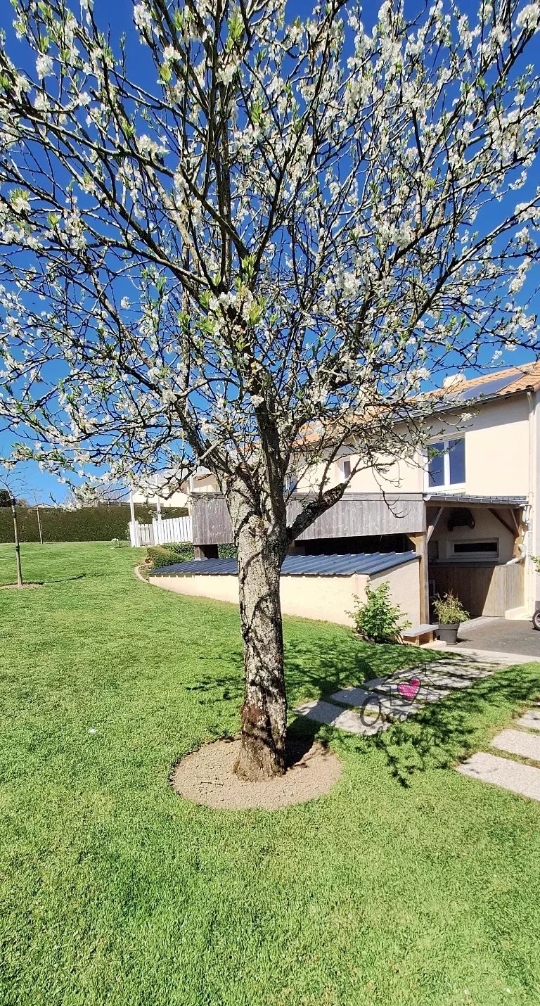 maison 95 m2 rénovée  sur  sous sol.