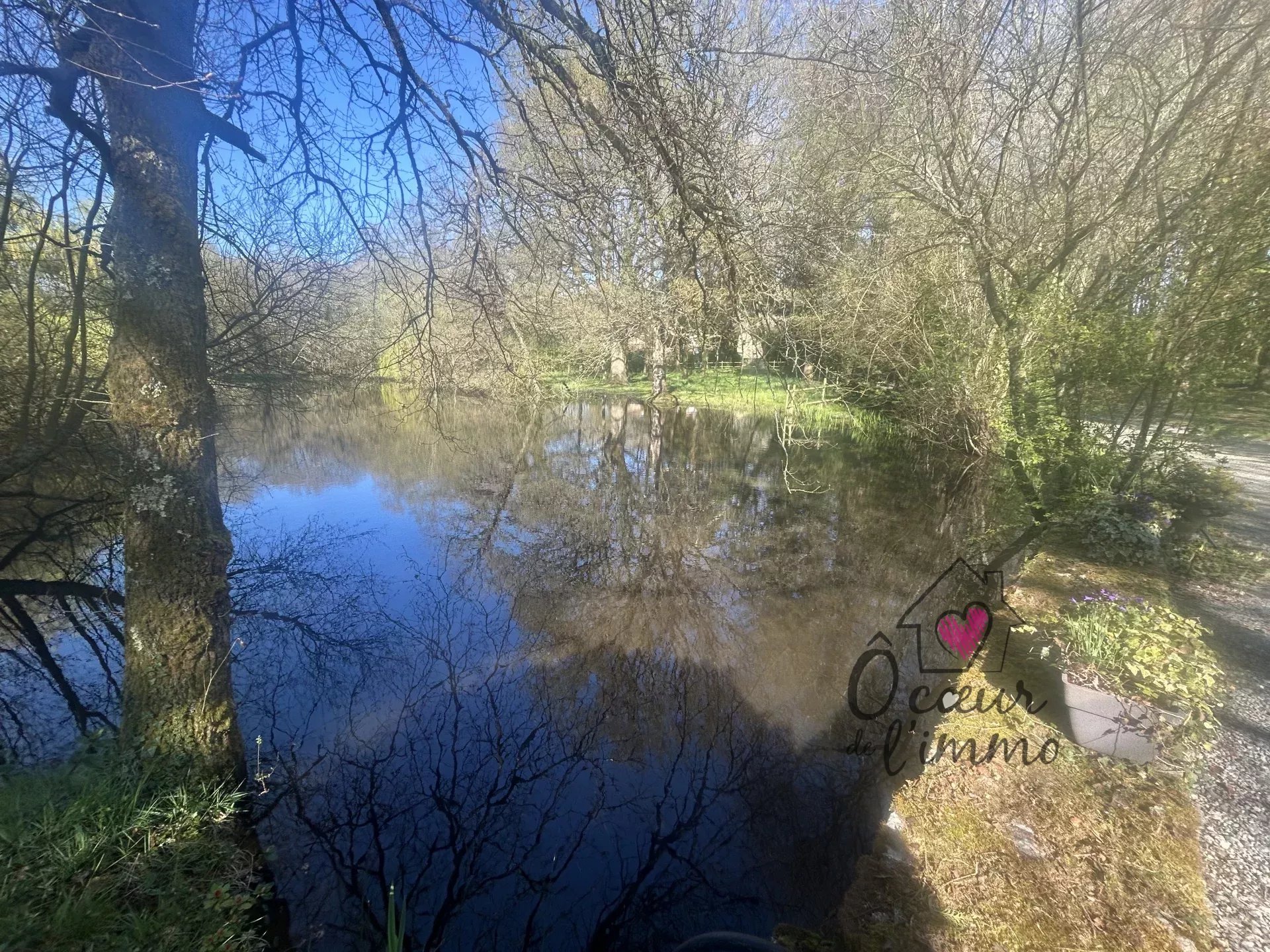 PROPRIETE  DE 230M² SUR 2,7 hectares