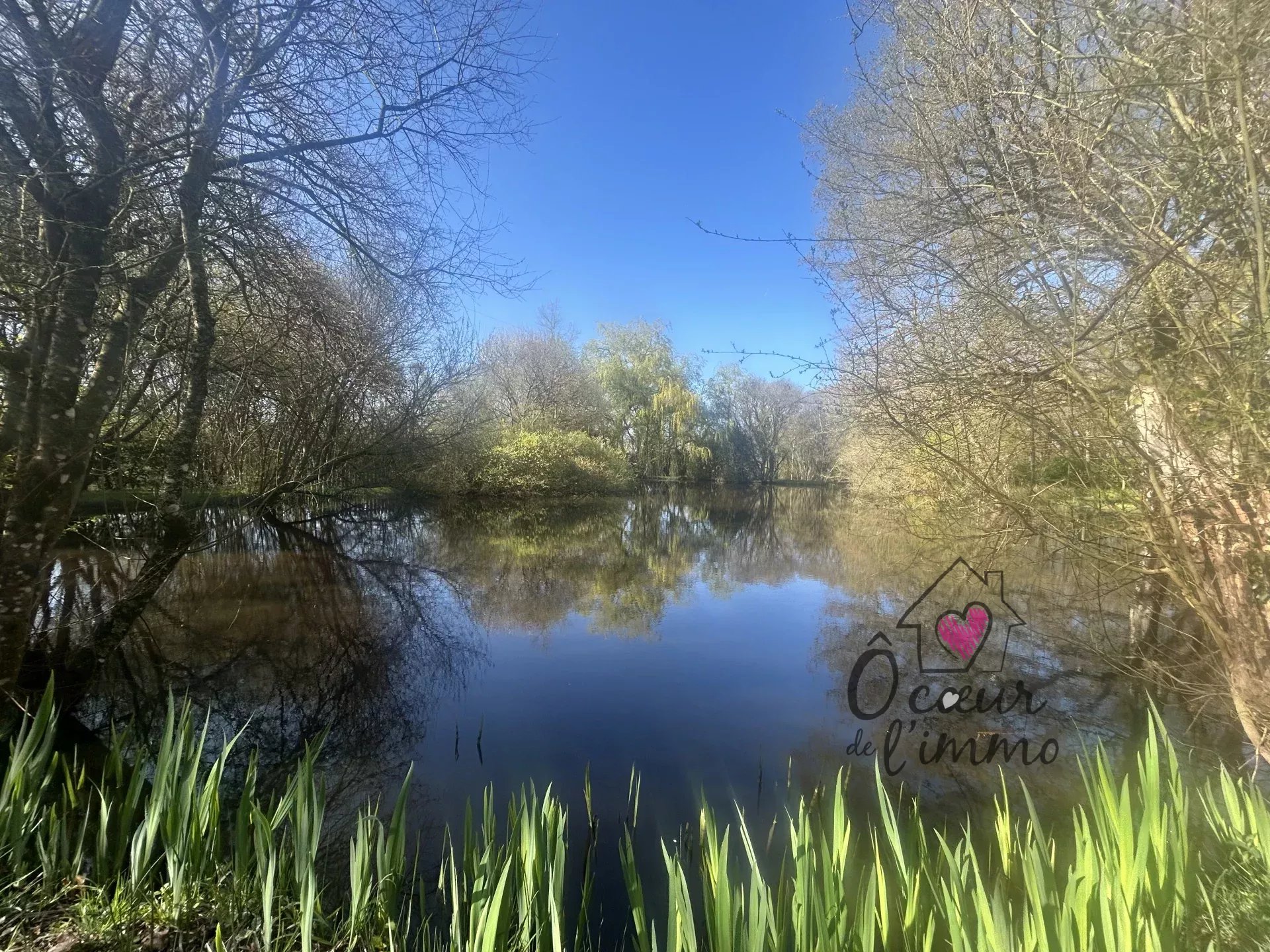 PROPRIETE  DE 230M² SUR 2,7 hectares