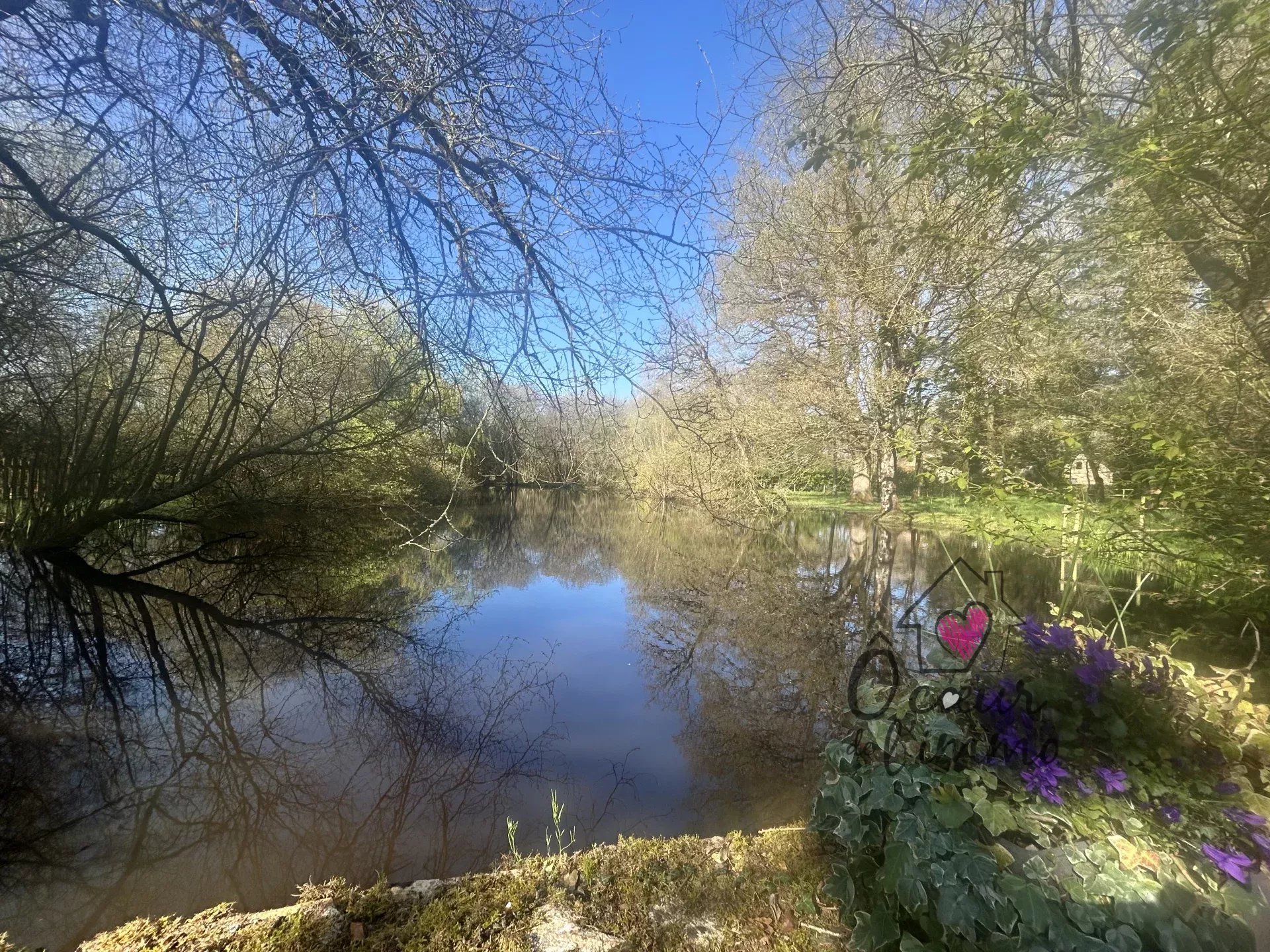 PROPRIETE  DE 230M² SUR 2,7 hectares