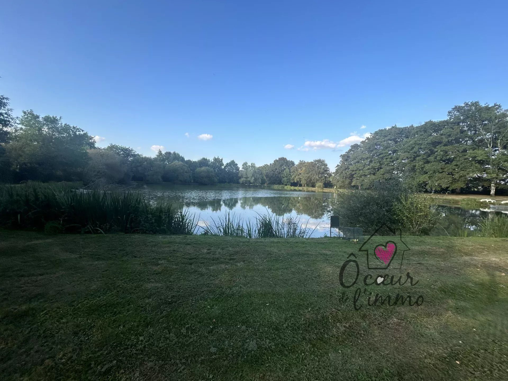 PROPRIÉTÉ AVEC ETANG