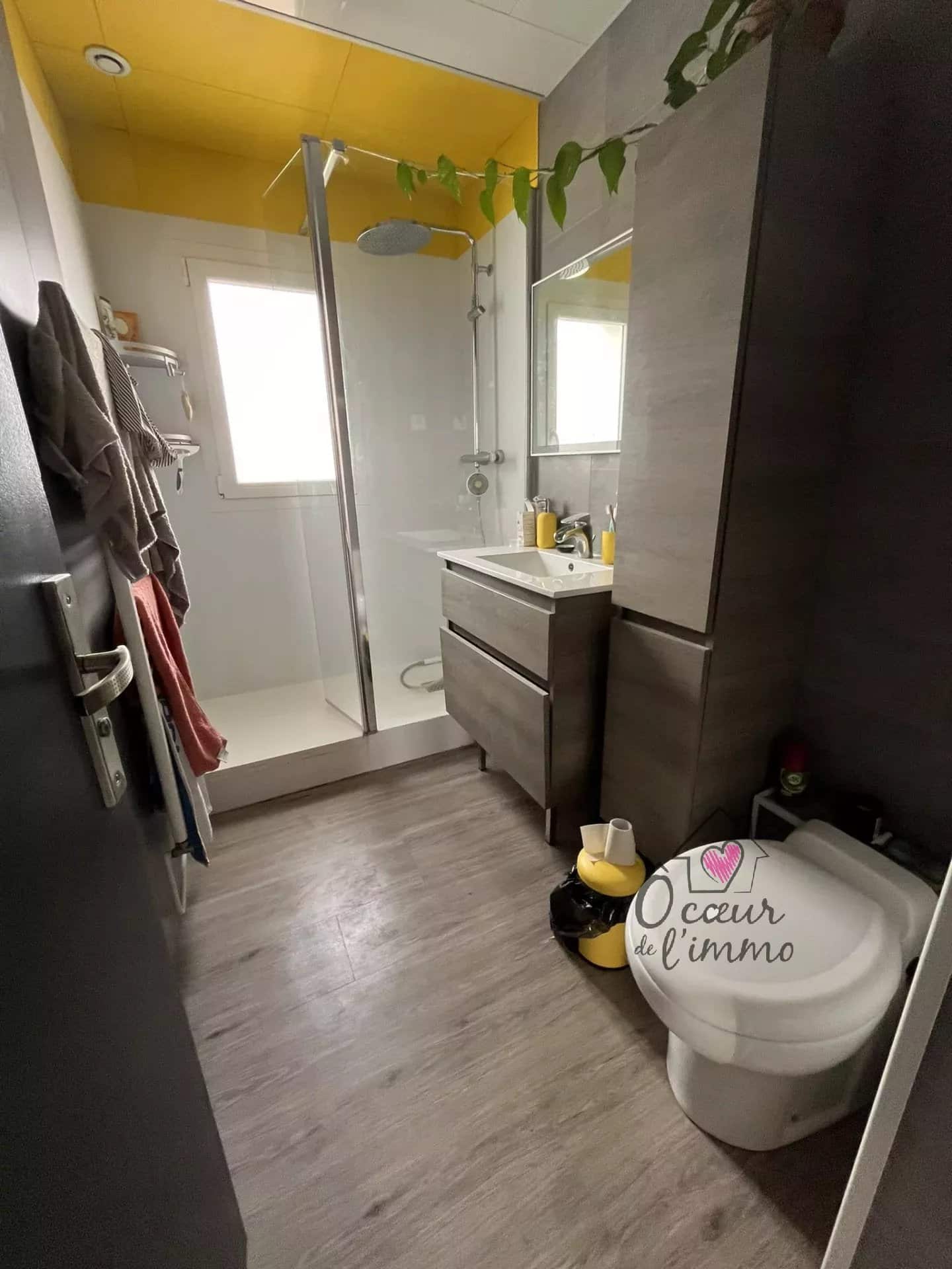 CHOLET MAISON MEUBLEE QUARTIER CHOLETIERE