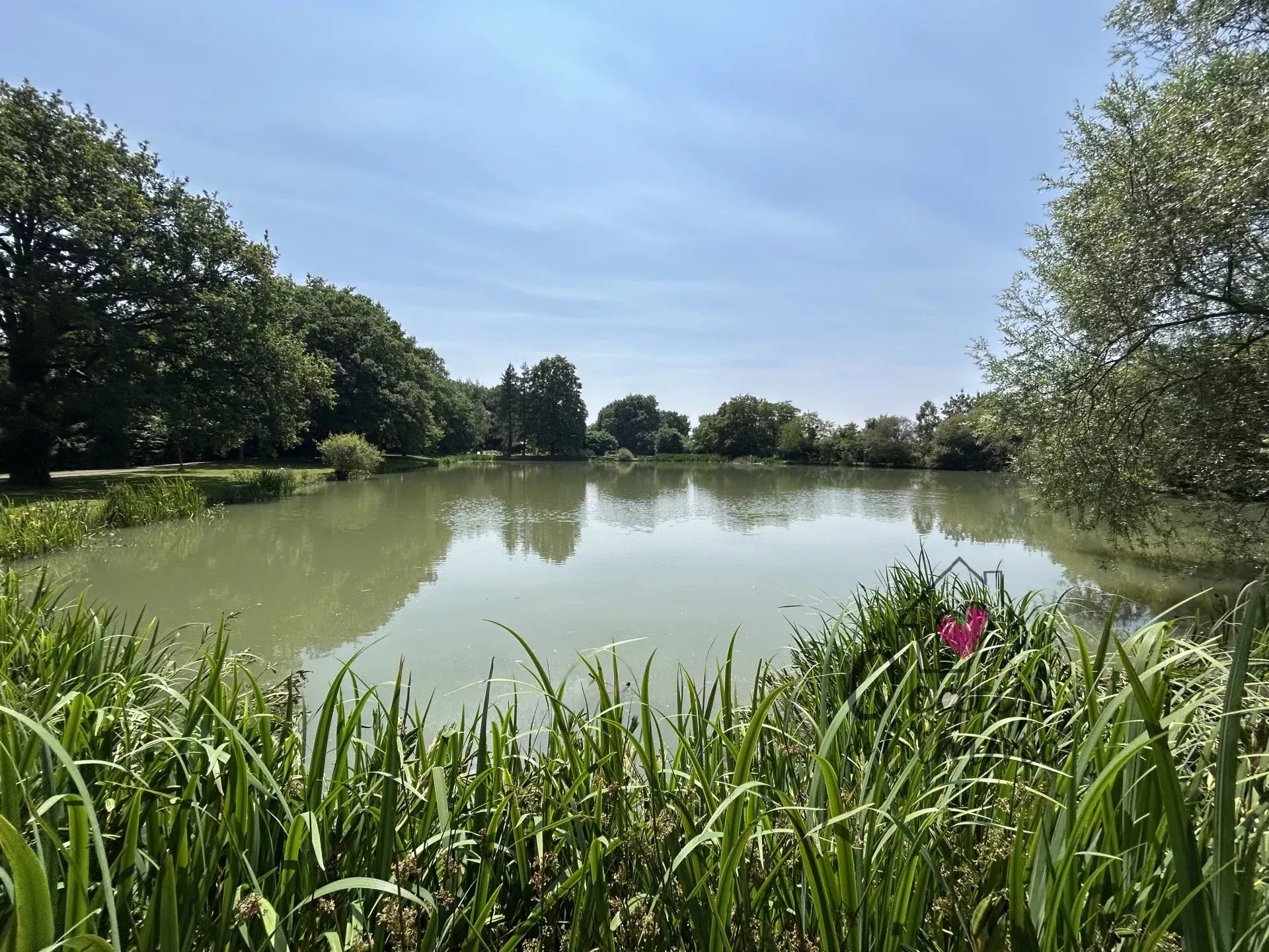 PROPRIÉTÉ AVEC ETANG