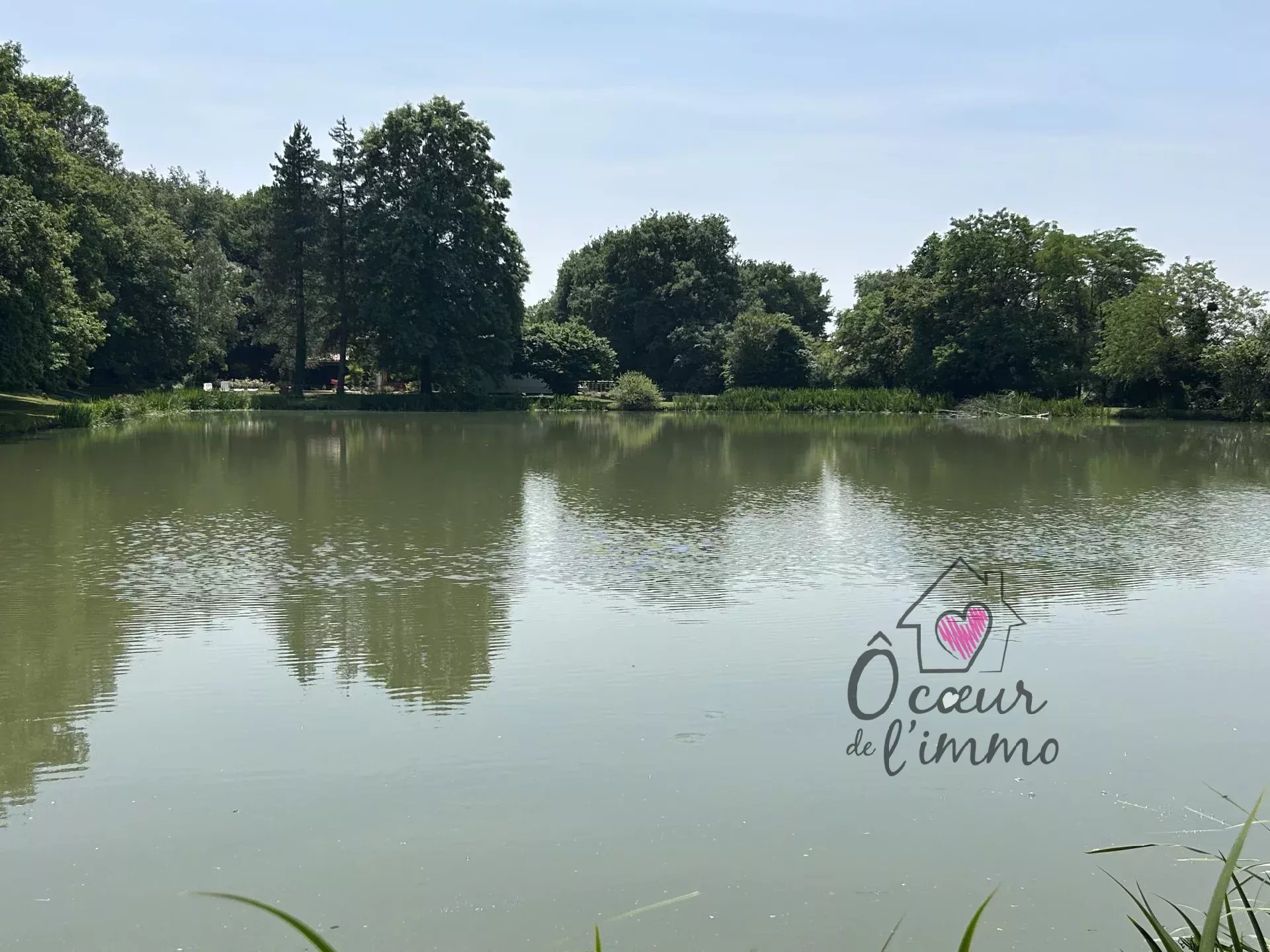 PROPRIÉTÉ AVEC ETANG