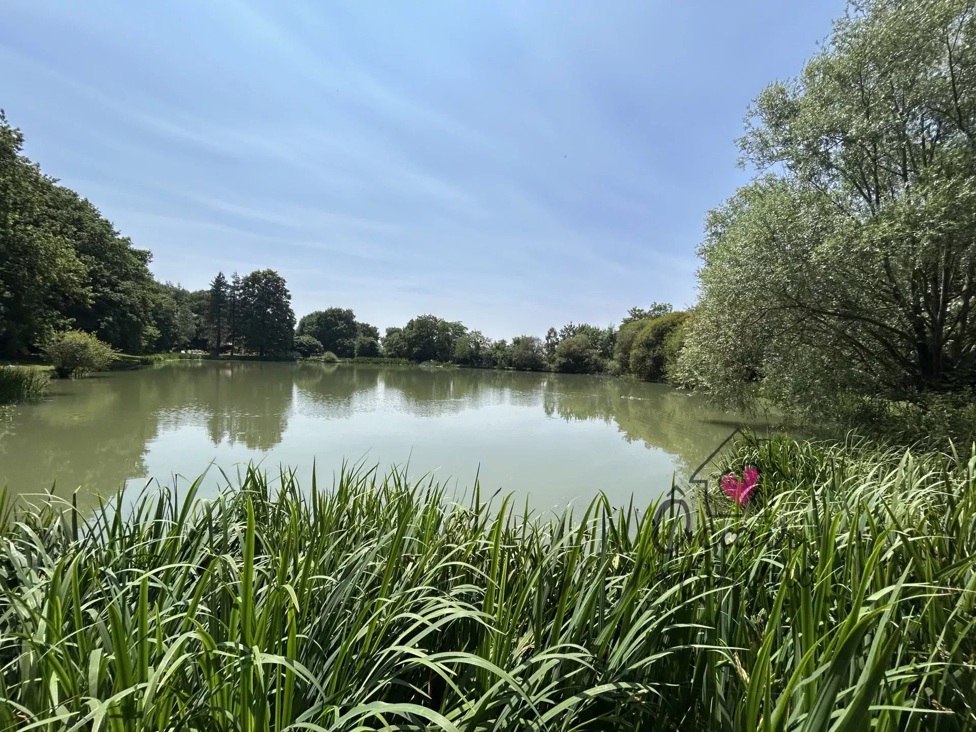 PROPRIÉTÉ AVEC ETANG