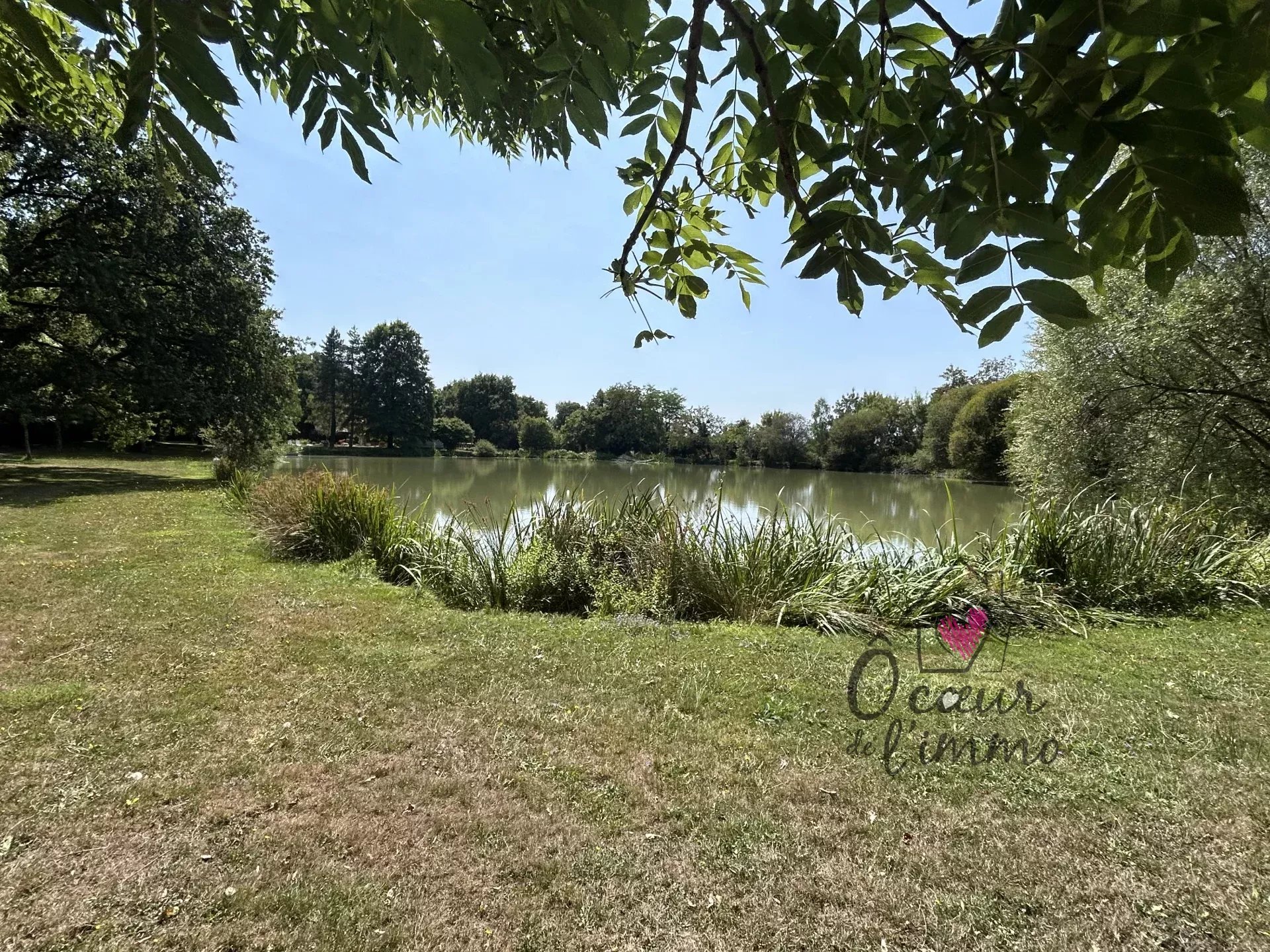 PROPRIÉTÉ AVEC ETANG