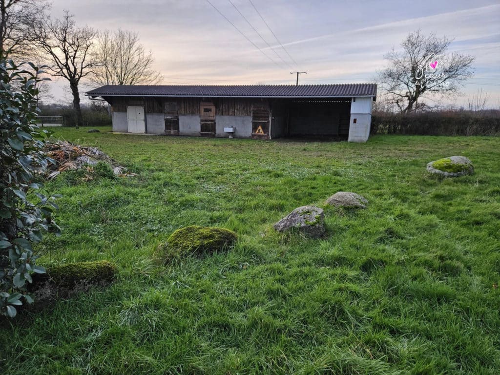 Maison à vendre - Yzernay - En Campagne