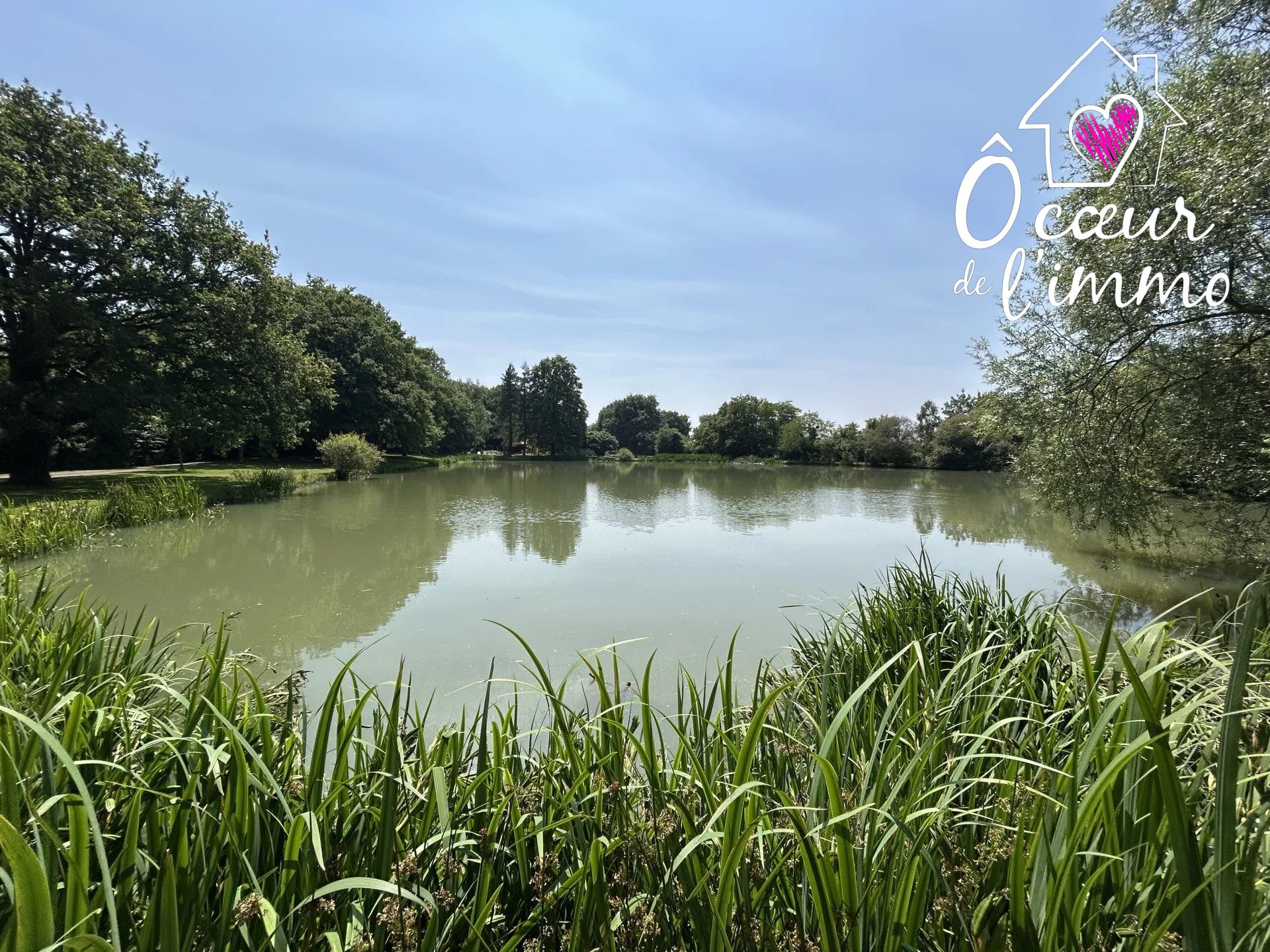 PROPRIÉTÉ AVEC ETANG