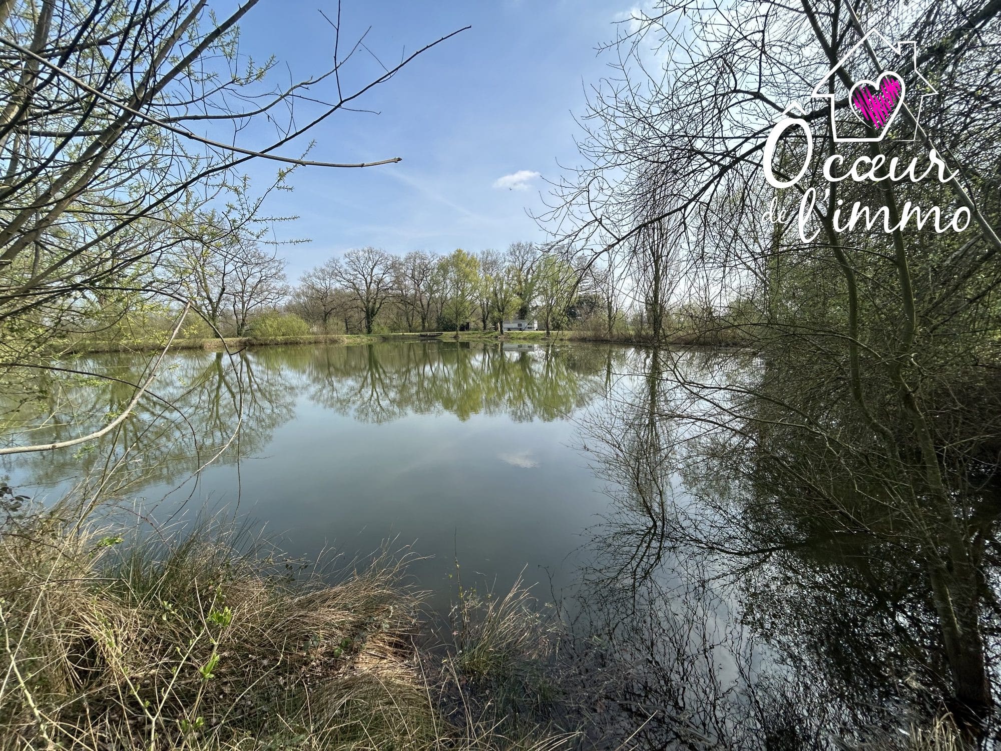 TERRAIN DE LOISIRS AVEC ETANG